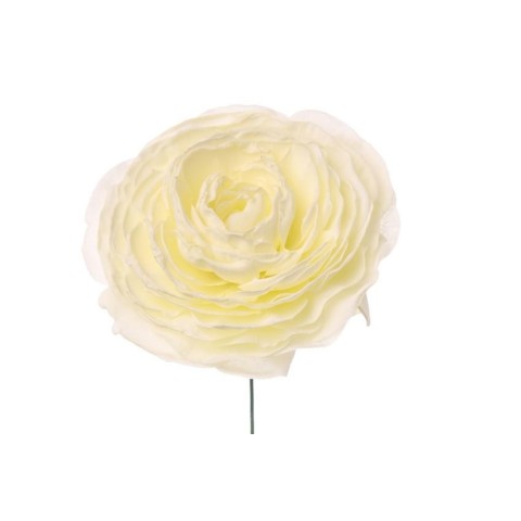 PICK RANUNCOLO WHITE